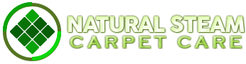 natural steam carpet cleaning